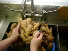 圖 2.1 清洗薑身表面。